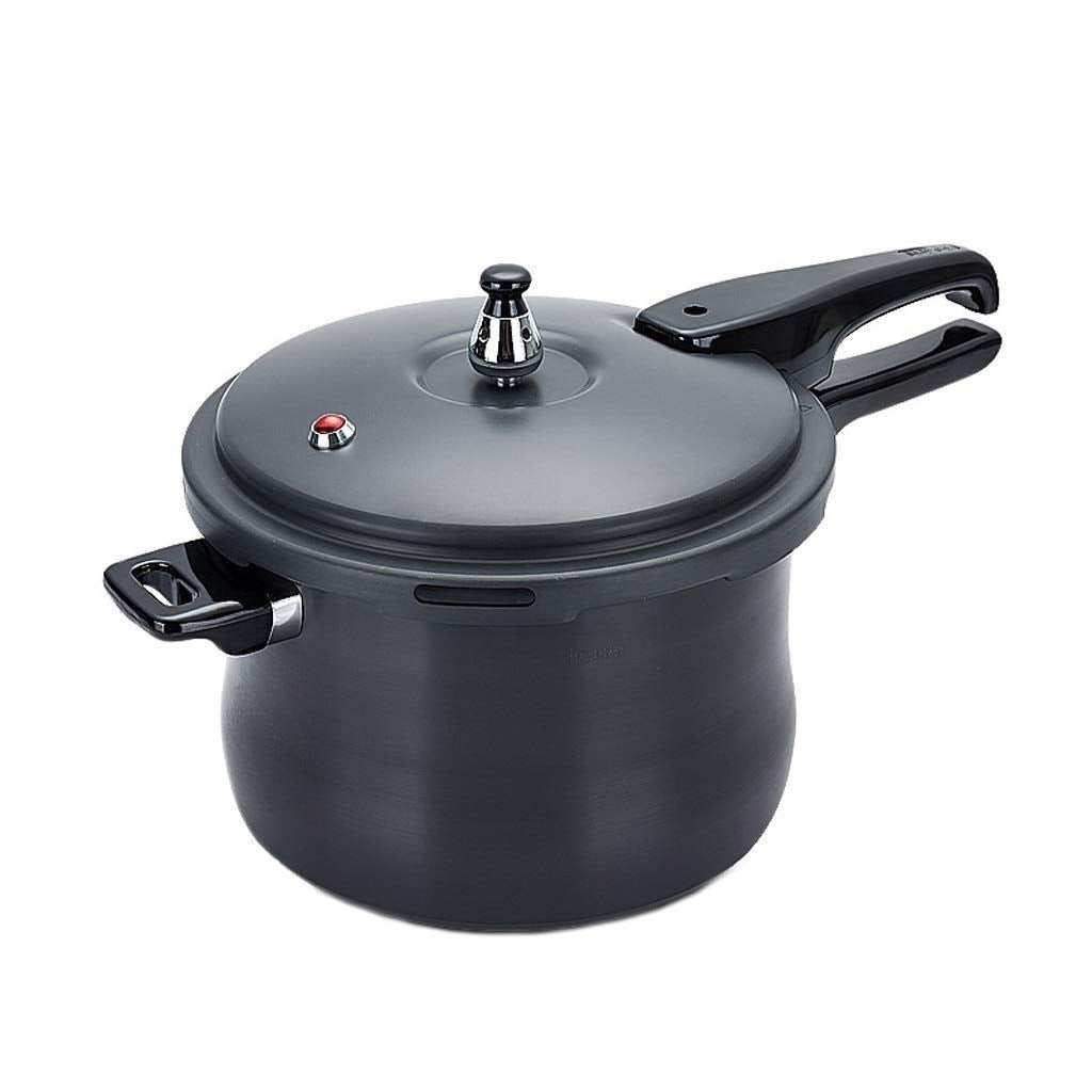 Black 3L Stainless Steel Pressure Cooker F15359