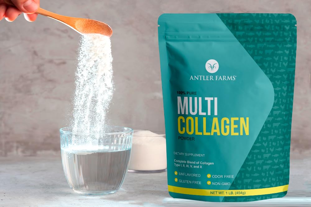 Multi Collagen Protein Powder 5 Types Unflavored 1 lb Y30243