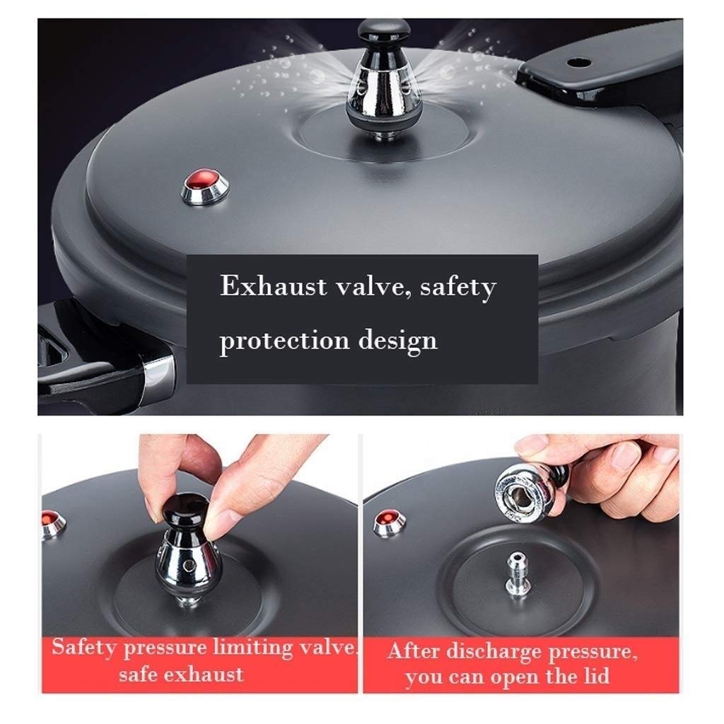 Black 3L Stainless Steel Pressure Cooker F15359
