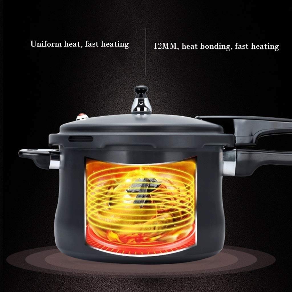 Black 3L Stainless Steel Pressure Cooker F15359