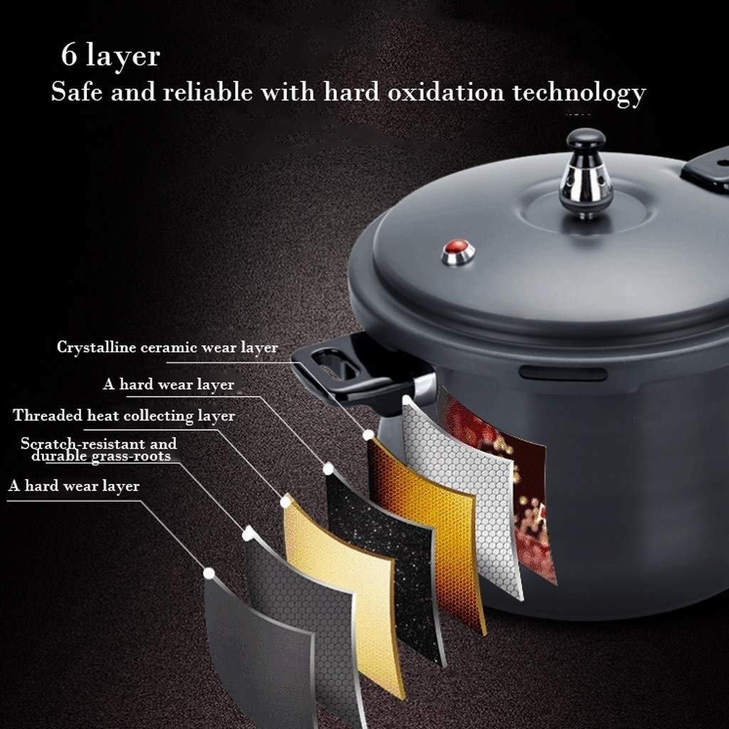 Black 3L Stainless Steel Pressure Cooker F15359