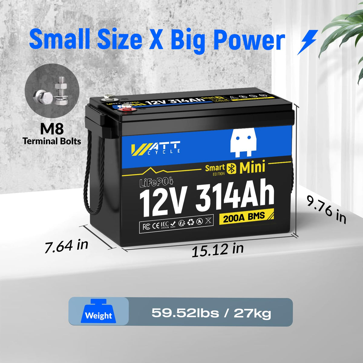 12V 314Ah LiFePO4 Battery 2 Pack D217