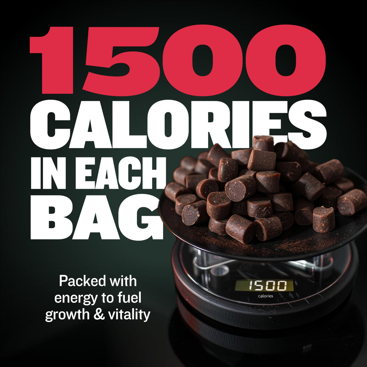 High-Calorie Liquid Weight Gainer & Soft Chews for Dogs D125