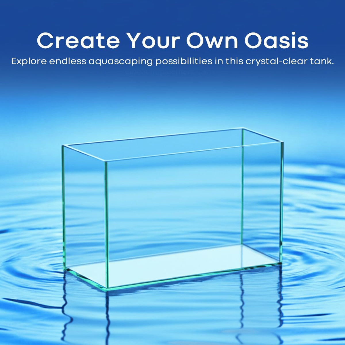 6 Gallon Glass Fish Tank Aquarium Y5568