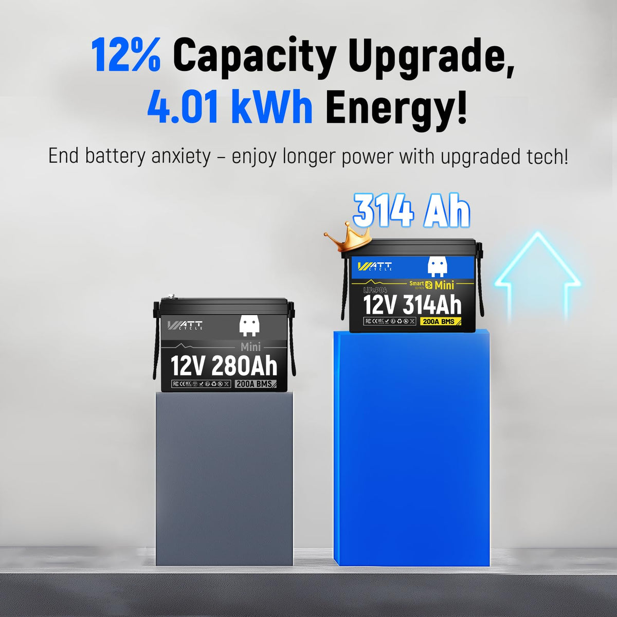 12V 314Ah LiFePO4 Battery 2 Pack D217