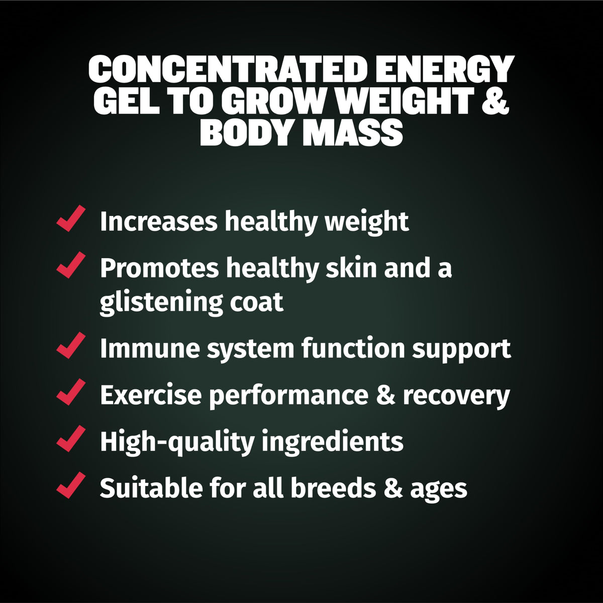 High-Calorie Liquid Weight Gainer & Soft Chews for Dogs D125