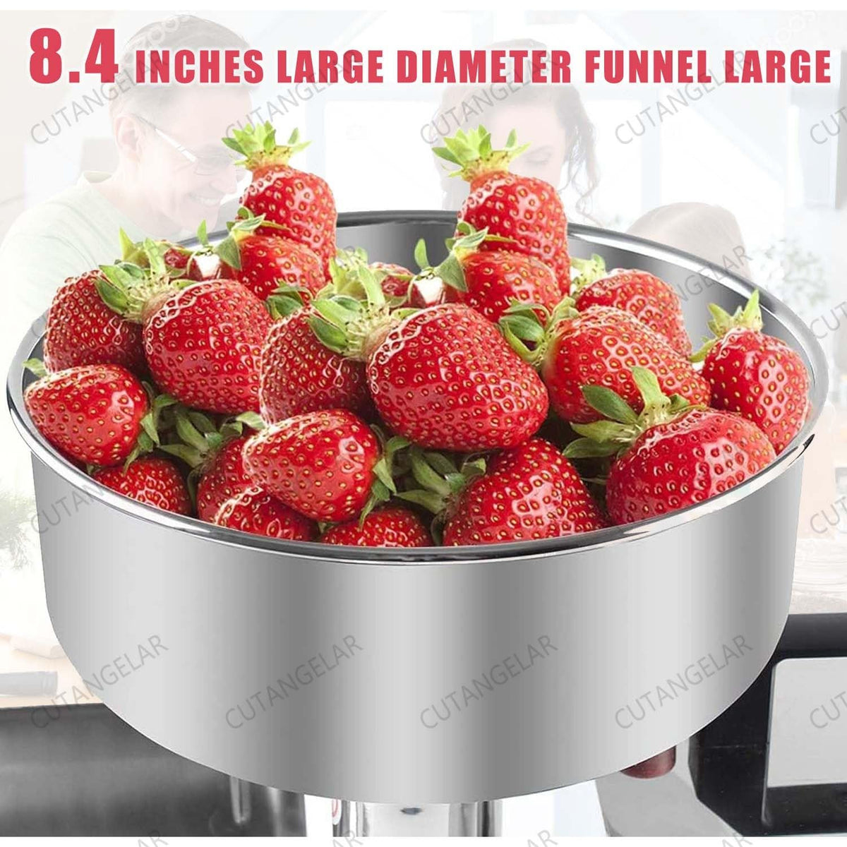 450W Stainless Steel Electric Jam Maker T163