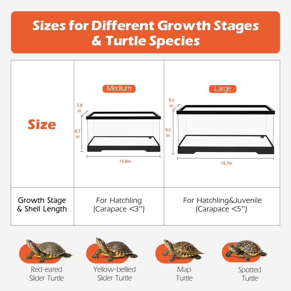 4.6 Gal Baby Turtle Tank Starter Kit G8010
