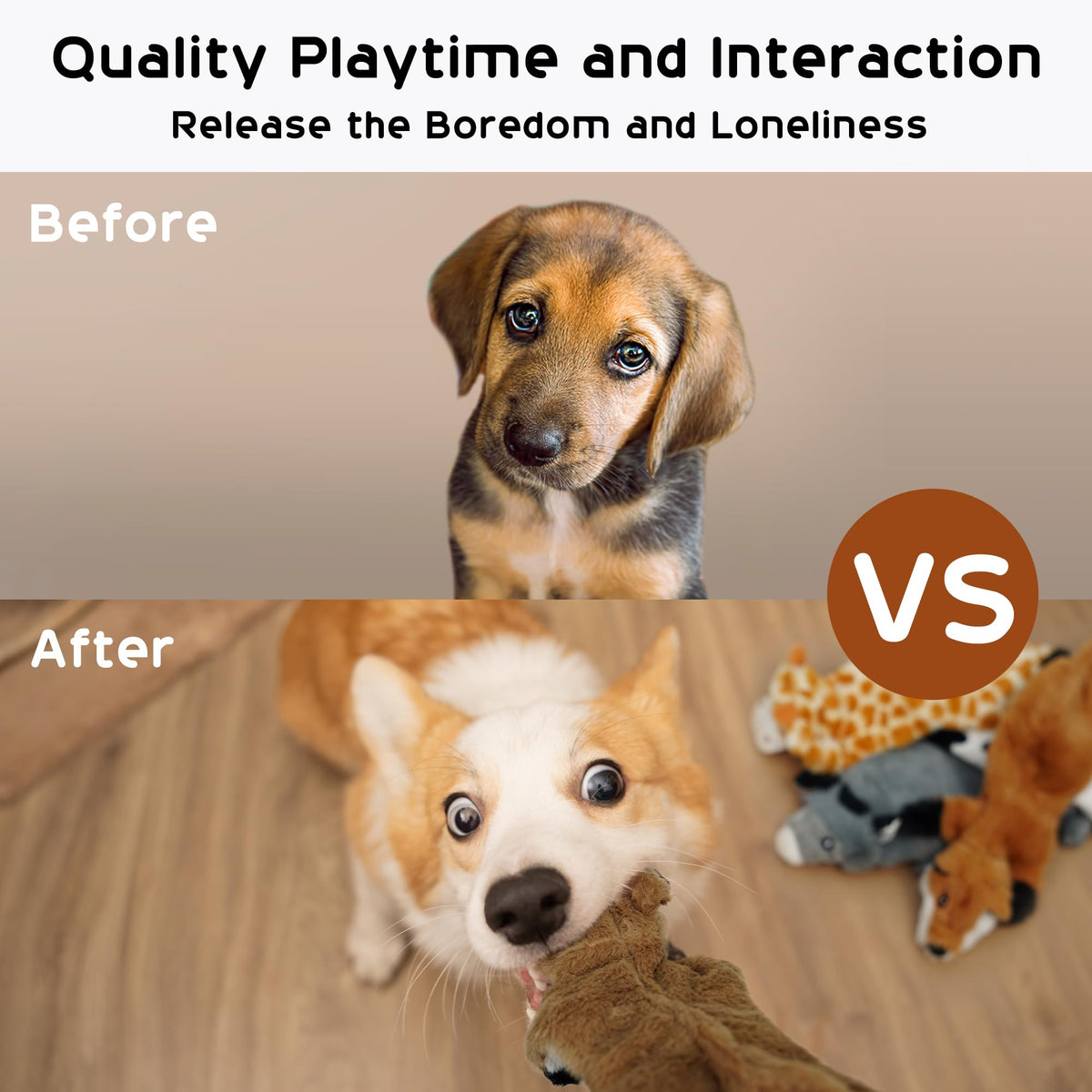 5 PCS Crinkle Plush Dog Squeaky Toys O4692