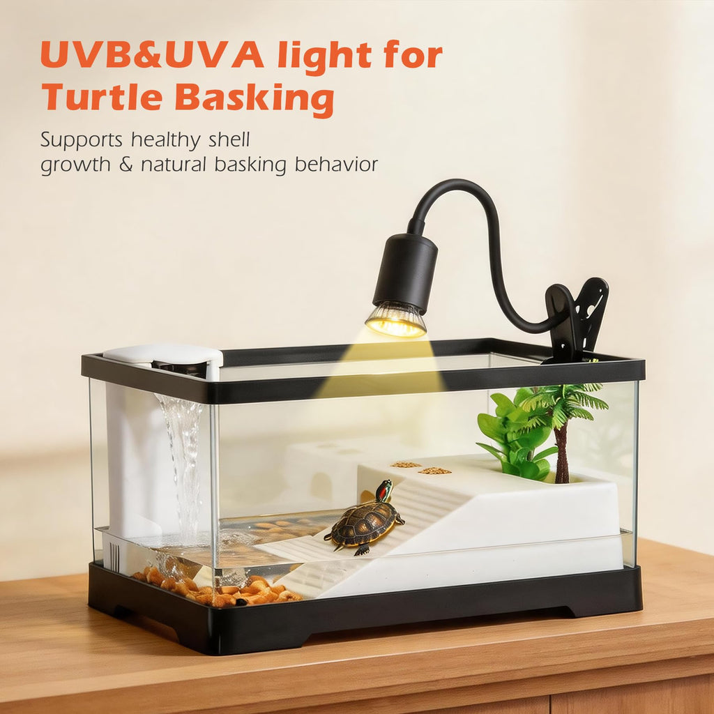 4.6 Gal Baby Turtle Tank Starter Kit G8010