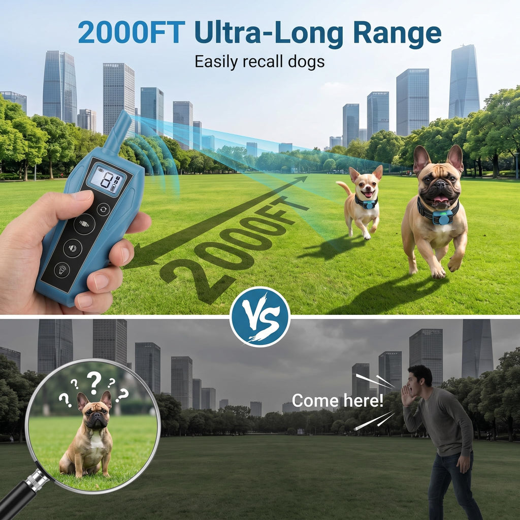 Vibration Dog Training Collar with Remote U171481