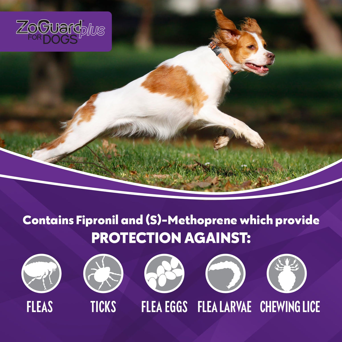 Flea and Tick Prevention for Medium Dogs 23-44lbs (3 Doses) A306815