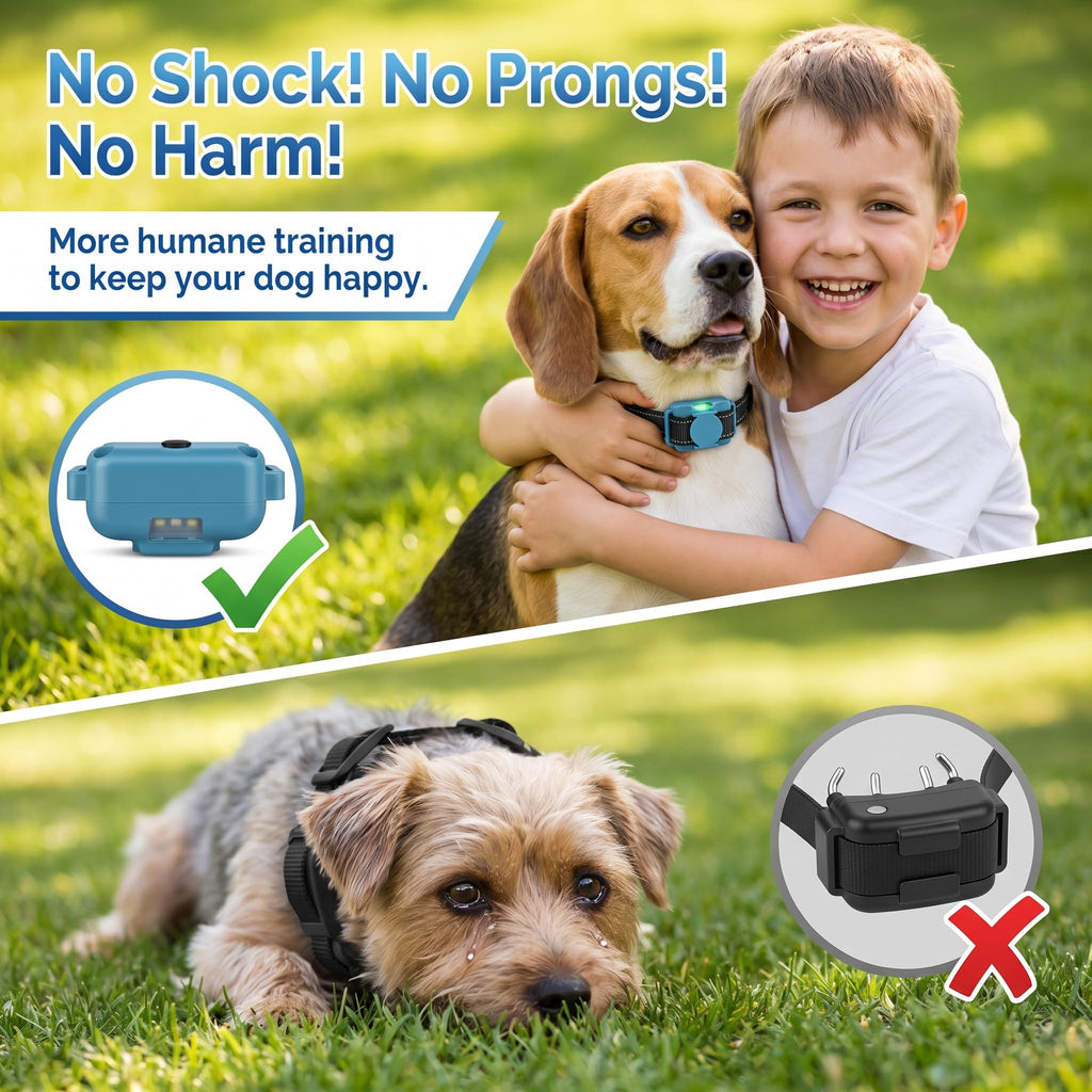Vibration Dog Training Collar with Remote U171481