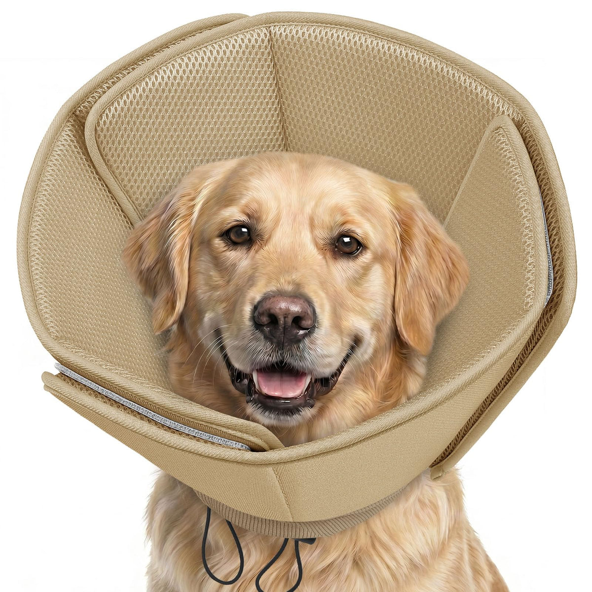 Soft Dog Cone Collar M909720