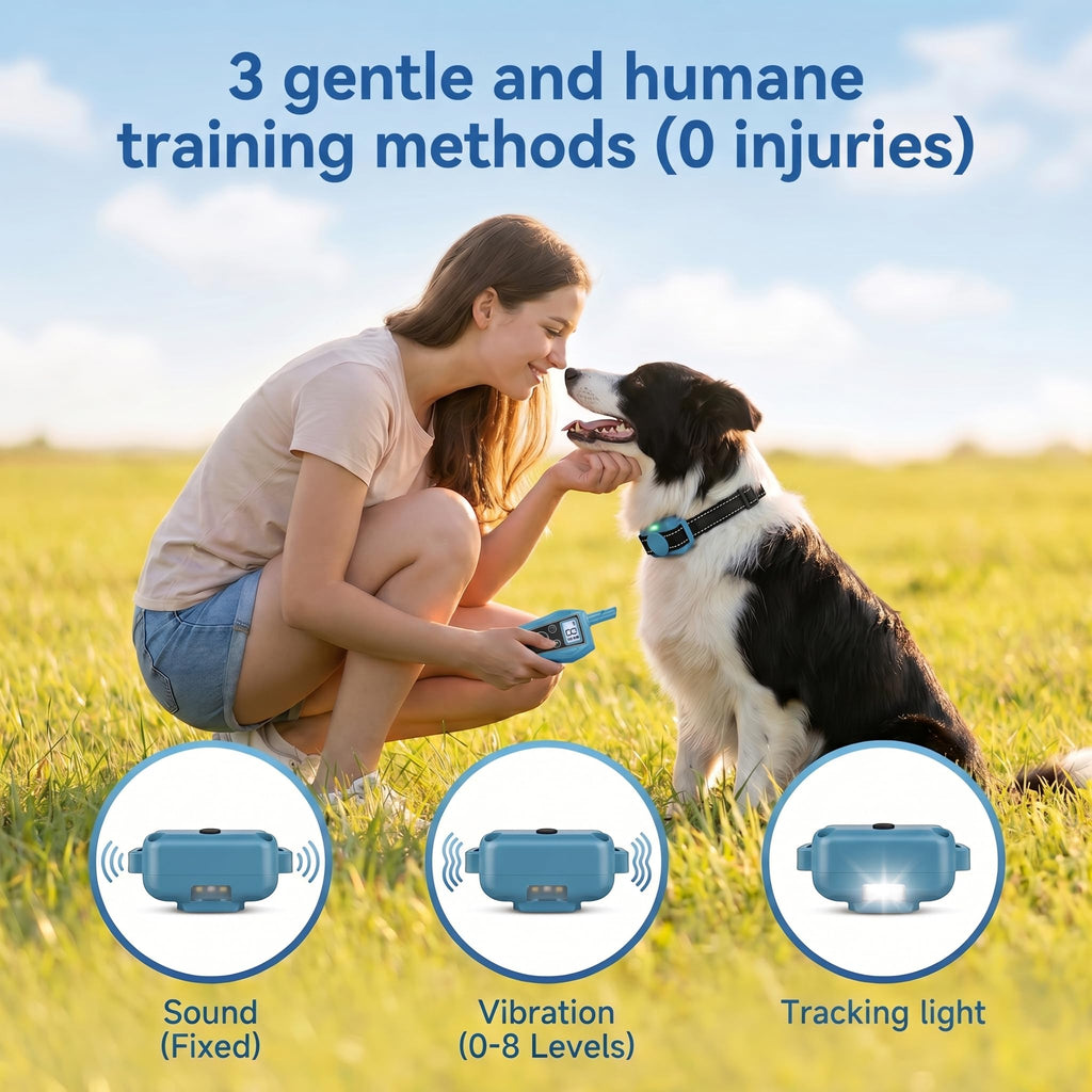 Vibration Dog Training Collar with Remote U171481